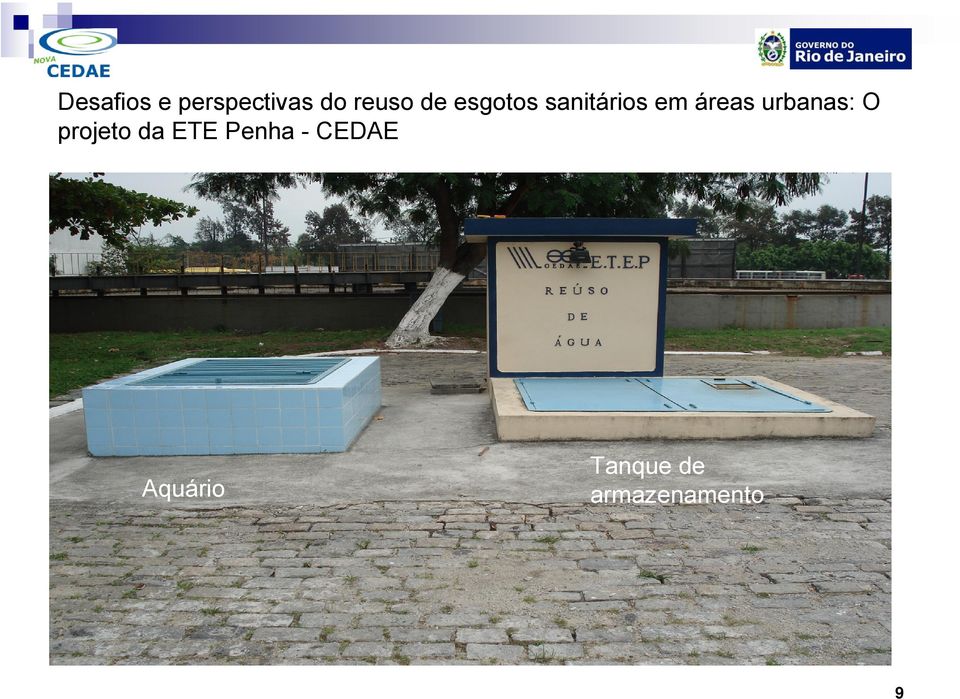 Aquário Tanque