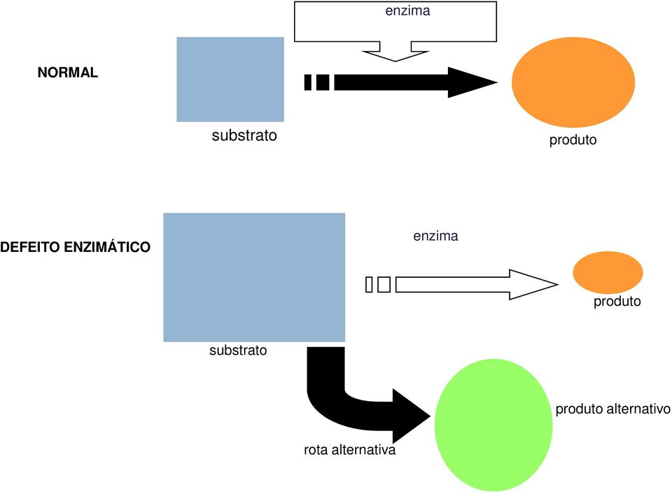 enzima produto substrato