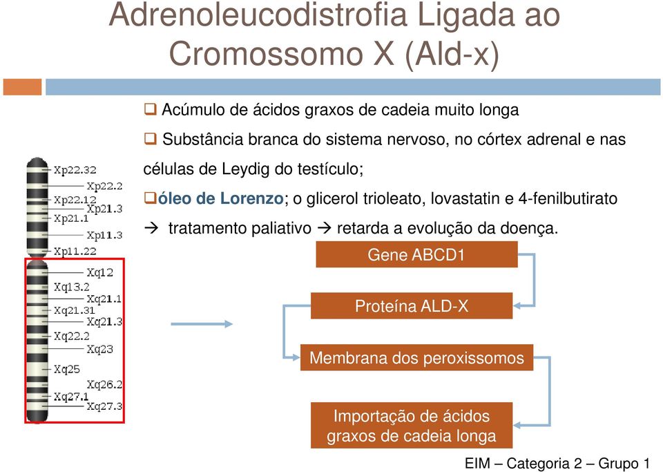 Lorenzo; o glicerol trioleato, lovastatin e 4-fenilbutirato tratamento paliativo retarda a evolução da