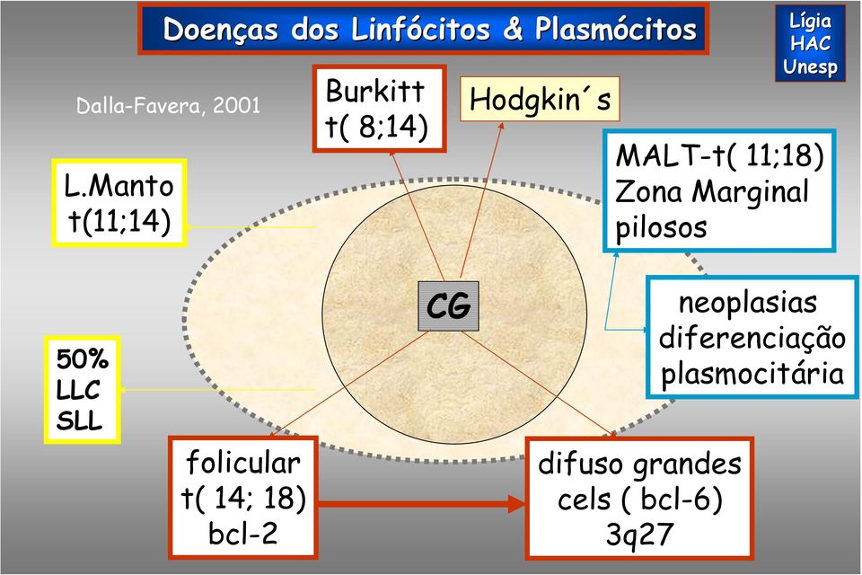 11;18) Zona Marginal pilosos 50% LLC SLL folicular t( 14; 18)