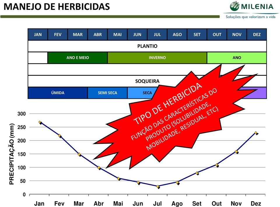 SEMI SECA SECA S.