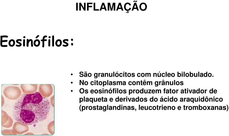 No citoplasma contêm grânulos Os eosinófilos produzem