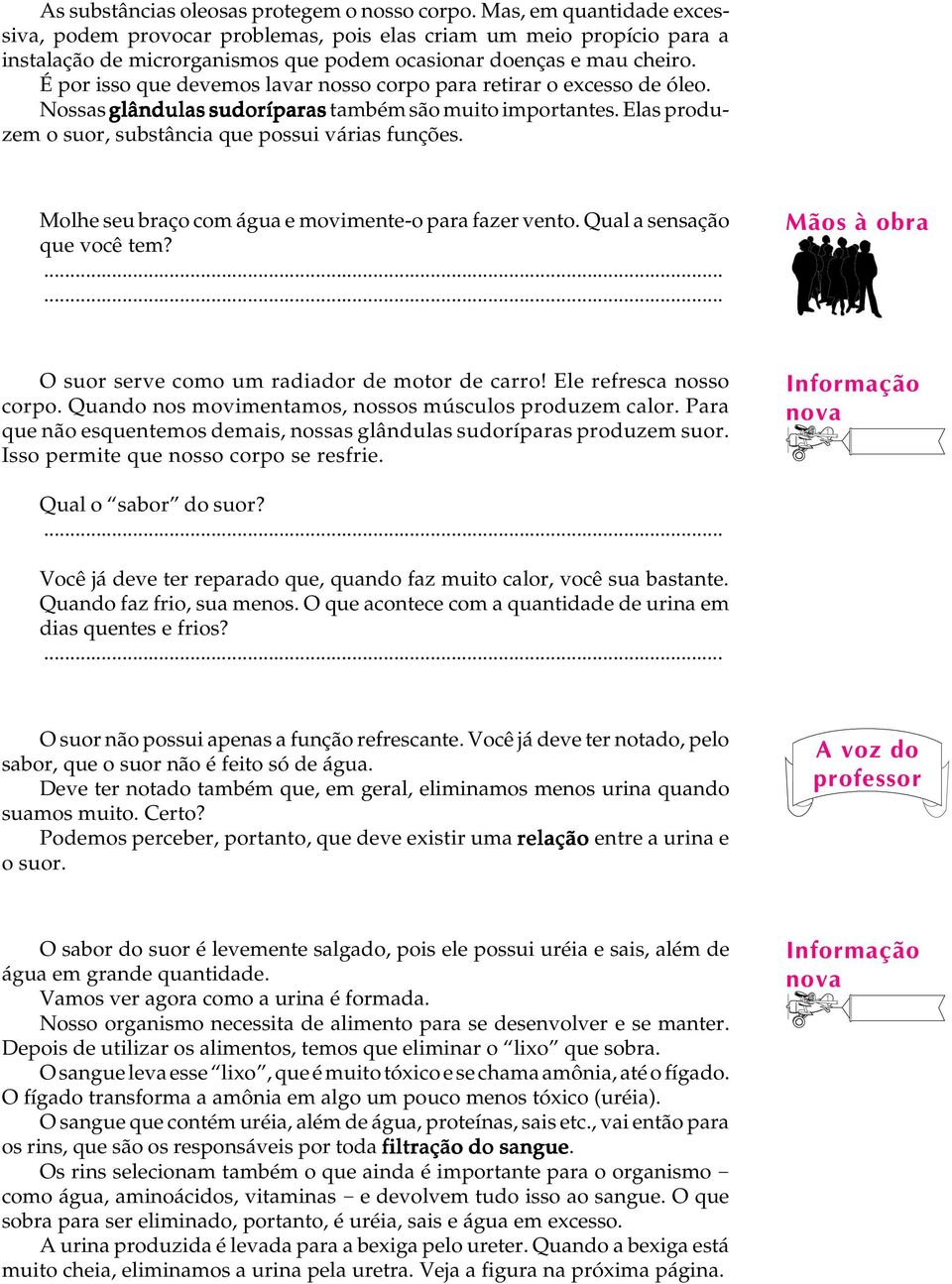 É por isso que devemos lavar nosso corpo para retirar o excesso de óleo. Nossas glândulas sudoríparas também são muito importantes. Elas produzem o suor, substância que possui várias funções.