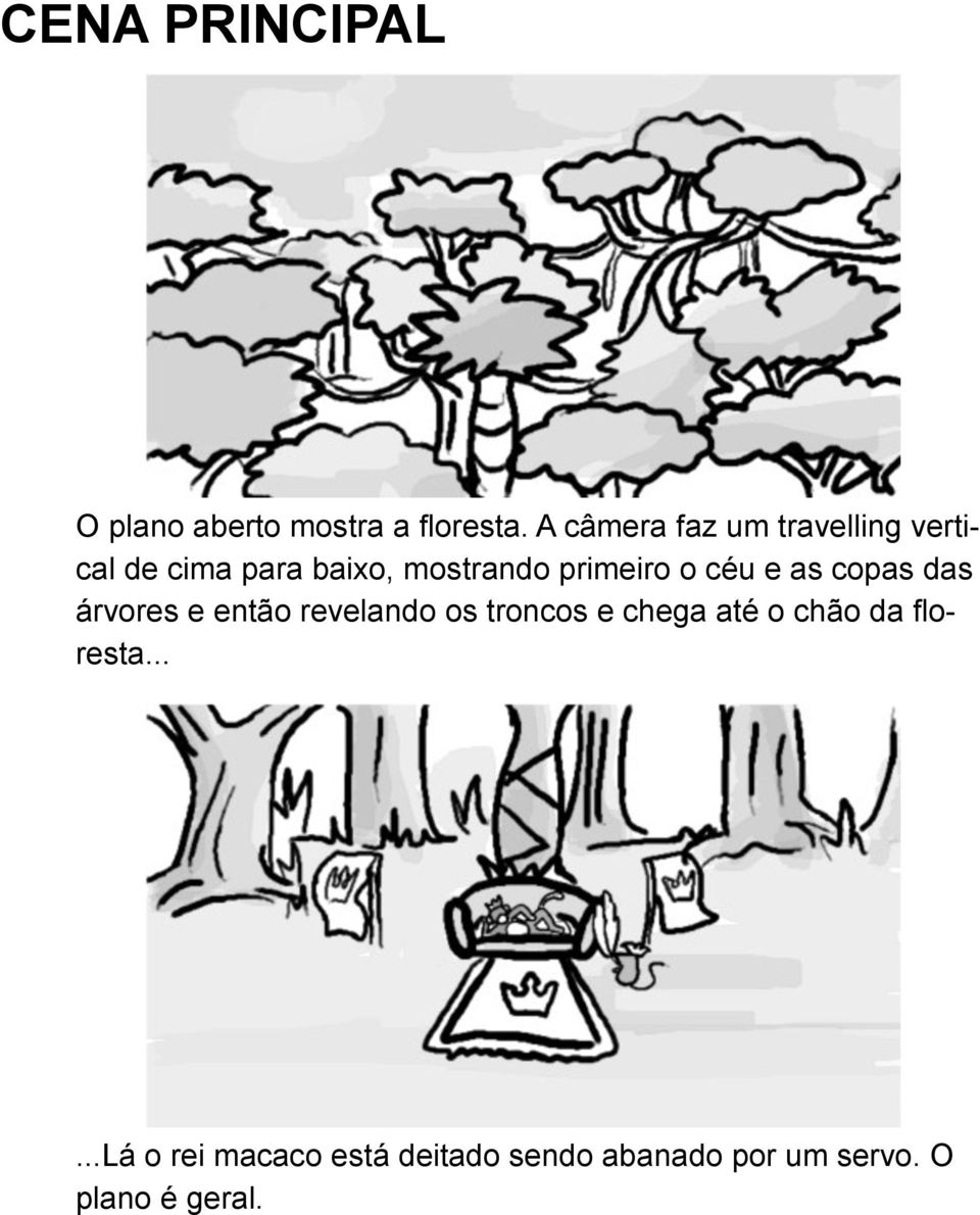 primeiro o céu e as copas das árvores e então revelando os troncos e