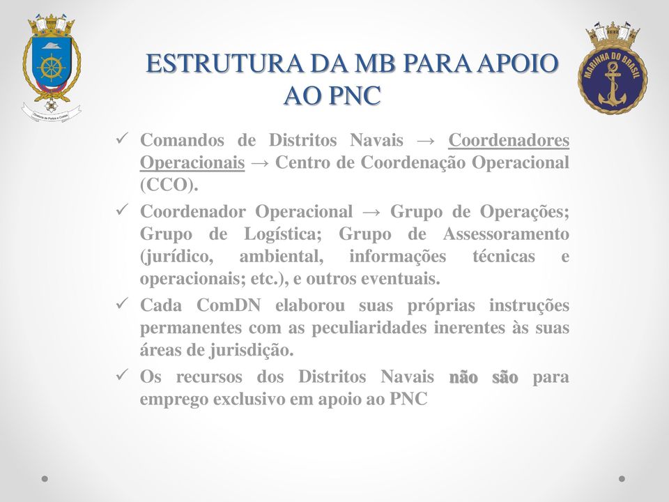 Coordenador Operacional Grupo de Operações; Grupo de Logística; Grupo de Assessoramento (jurídico, ambiental, informações