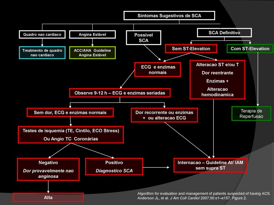 recorrente ou enzimas + ou alteracao ECG Terapia de Reperfusao Testes de isquemia (TE, Cintilo, ECO Stress) Ou Angio TC Coronárias Negativo Dor provavelmente nao anginosa Positivo