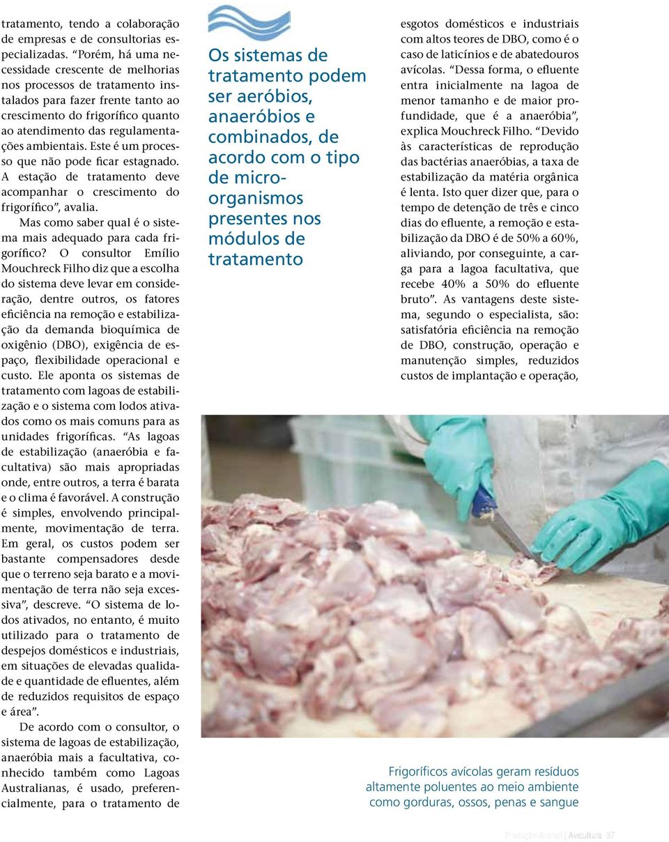 Este é um processo que não pode ficar estagnado. A estação de tratamento deve acompanhar o crescimento do frigorífico, avalia. Mas como saber qual é o sistema mais adequado para cada frigorífico?