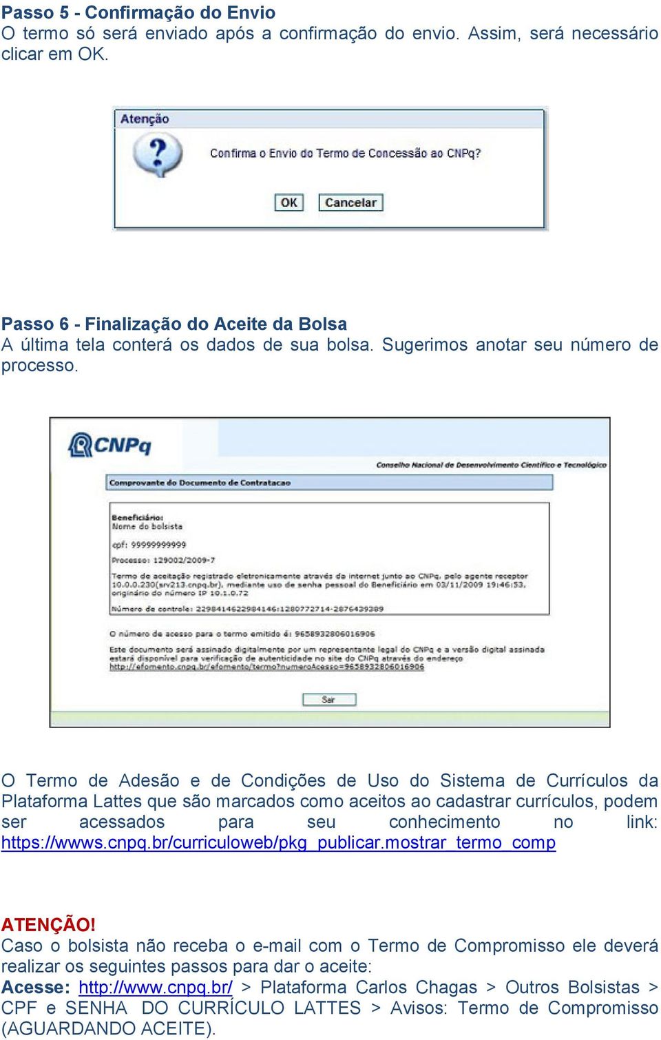 O Termo de Adesão e de Condições de Uso do Sistema de Currículos da Plataforma Lattes que são marcados como aceitos ao cadastrar currículos, podem ser acessados para seu conhecimento no link: