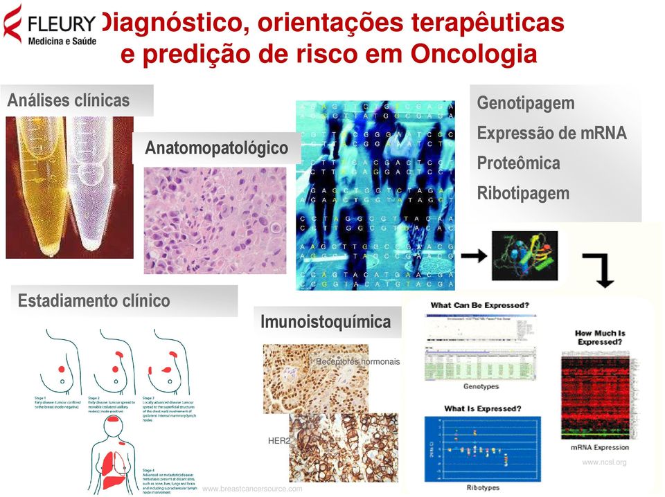 Expressão de mrna Proteômica Ribotipagem Estadiamento clínico