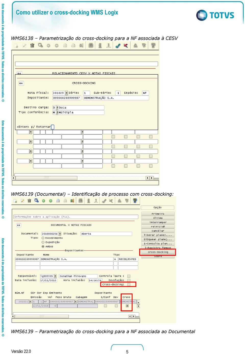 Identificação de processo com cross-docking: WMS6139