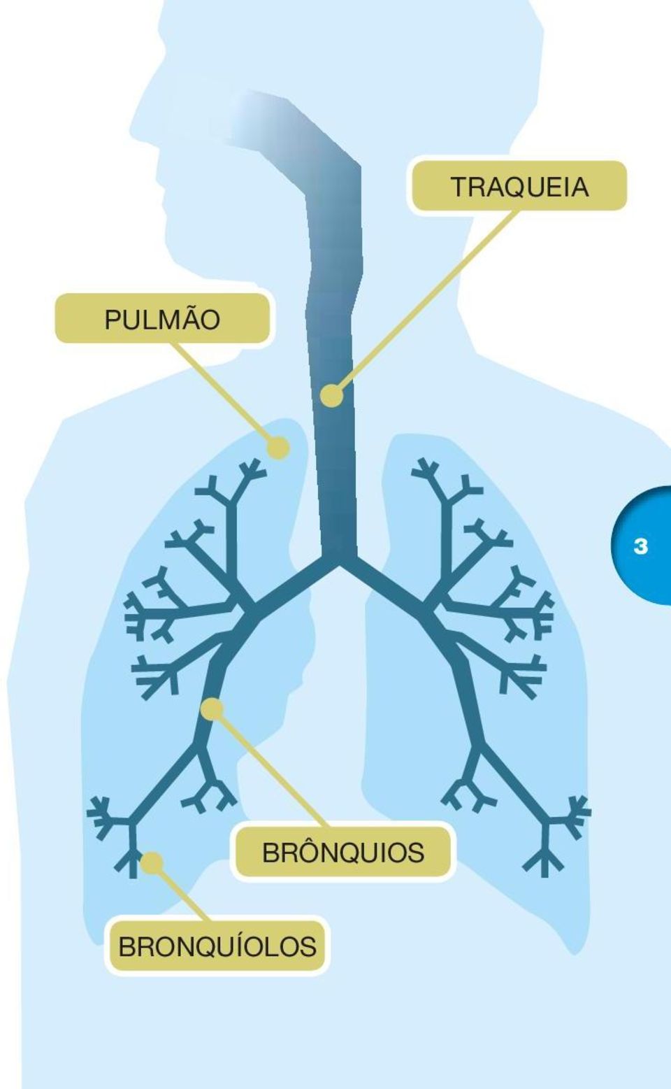 BRÔNQUIOS