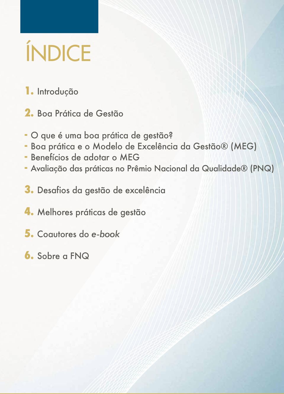 - Avaliação das práticas no Prêmio Nacional da Qualidade (PNQ) 3.