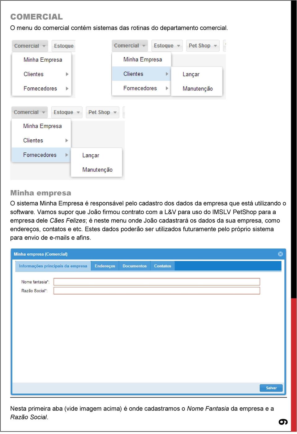 Vamos supor que João firmou contrato com a L&V para uso do IMSLV PetShop para a empresa dele Cães Felizes; é neste menu onde João cadastrará os dados