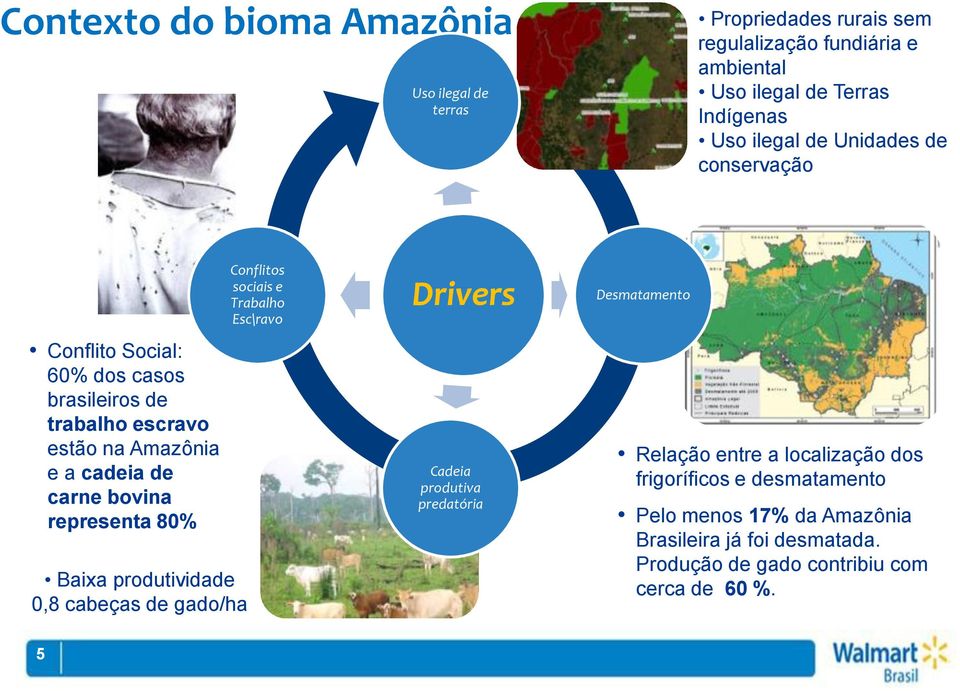 representa 80% Baixa produtividade 0,8 cabeças de gado/ha Conflitos sociais e Trabalho Esc\ravo Drivers Cadeia produtiva predatória Desmatamento