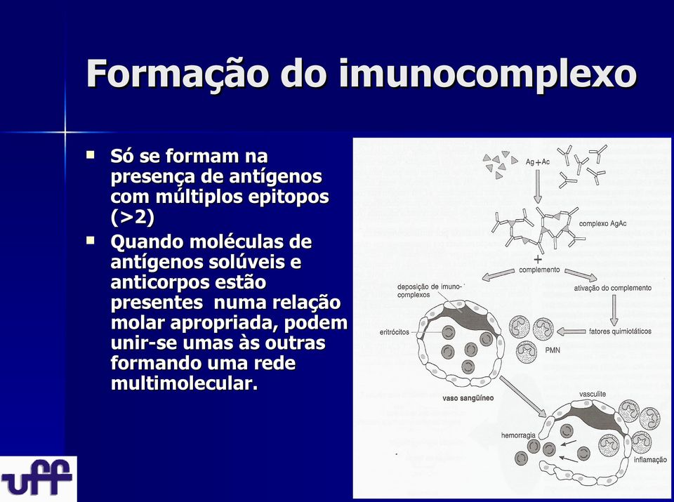 solúveis e anticorpos estão presentes numa relação molar