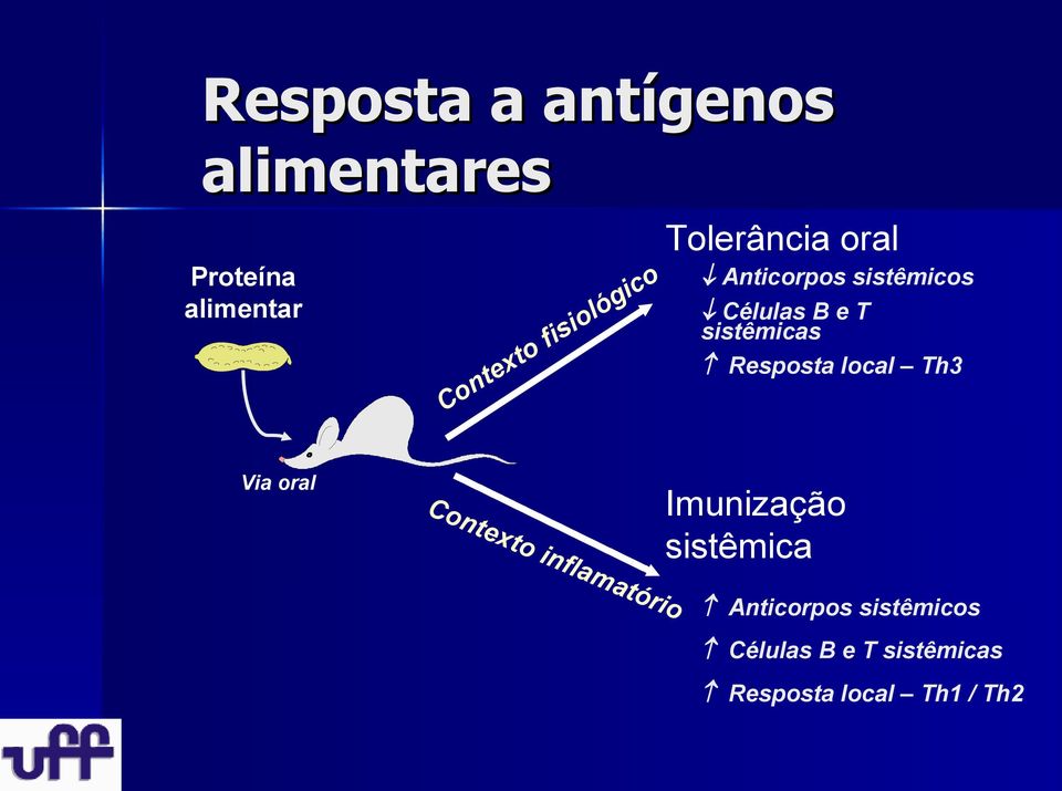 sistêmicas Resposta local Th3 Co Imunização nte xto sistêmica infl am ató