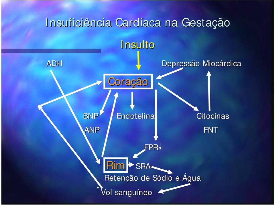 Endotelina Citocinas ANP Rim FPR SRA