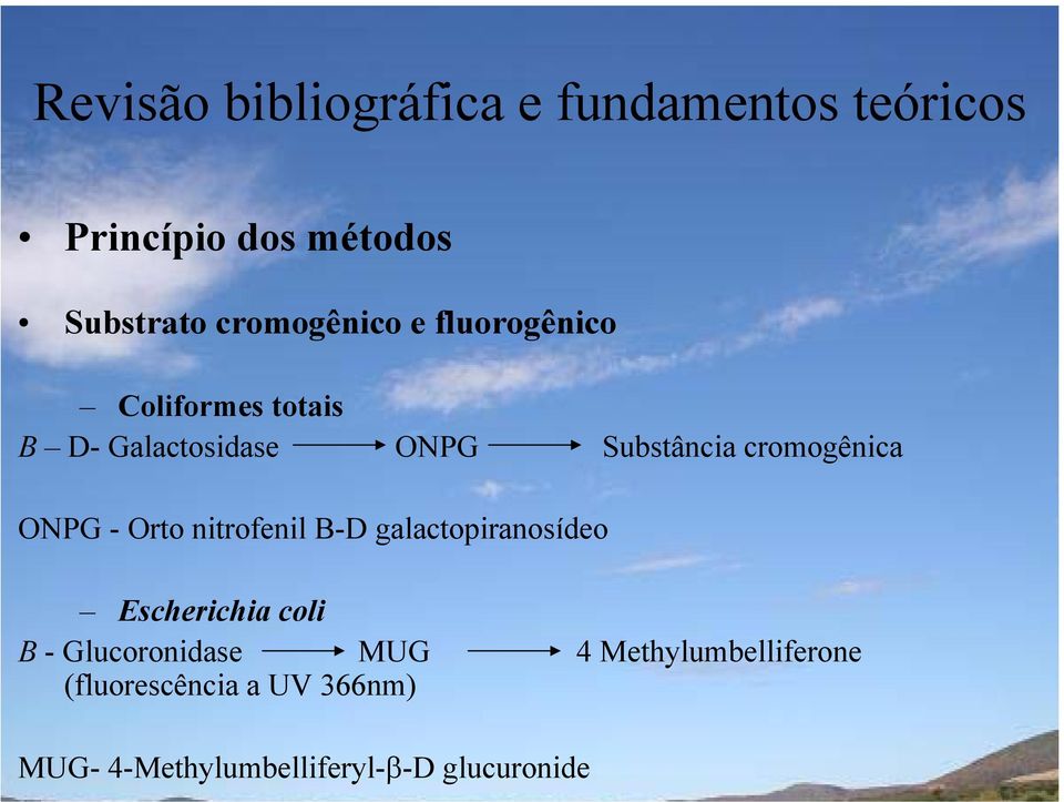 cromogênica ONPG - Orto nitrofenil B-D galactopiranosídeo Escherichia coli B -