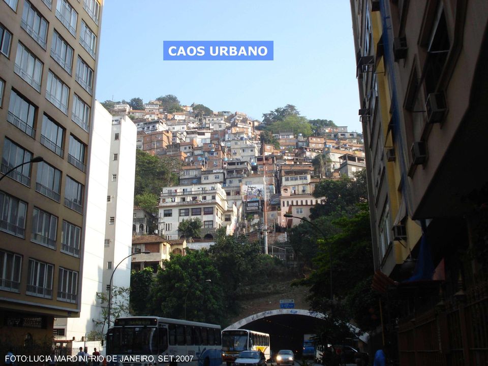 MARDINI, RIO