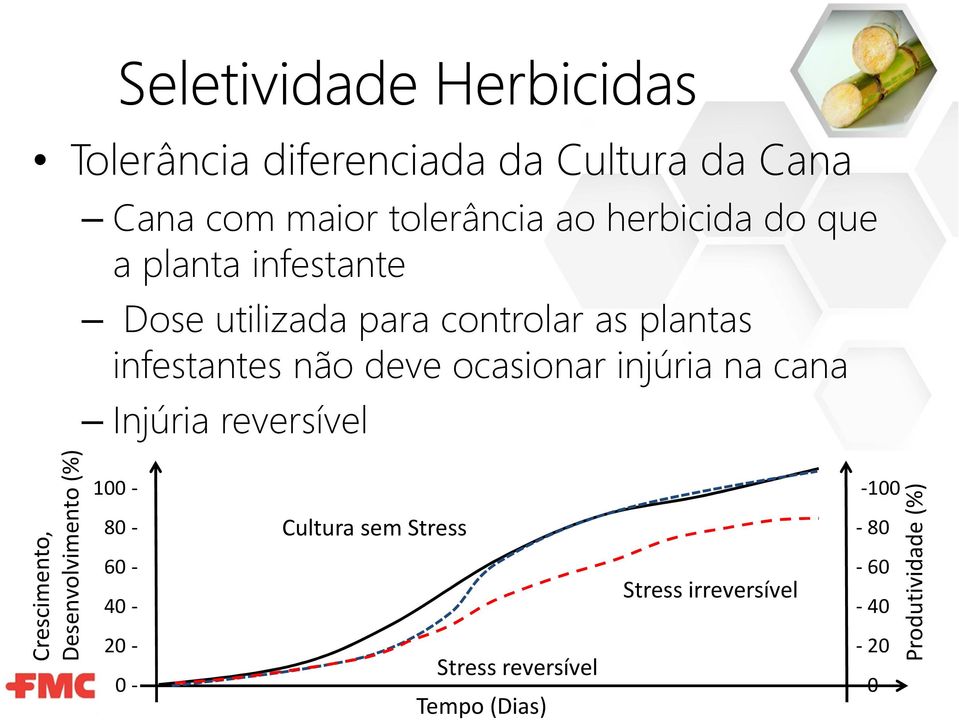 ocasionar injúria na cana Injúria reversível Crescimento, Desenvolvimento (%) 100-80 - 60-40 - 20-0 -