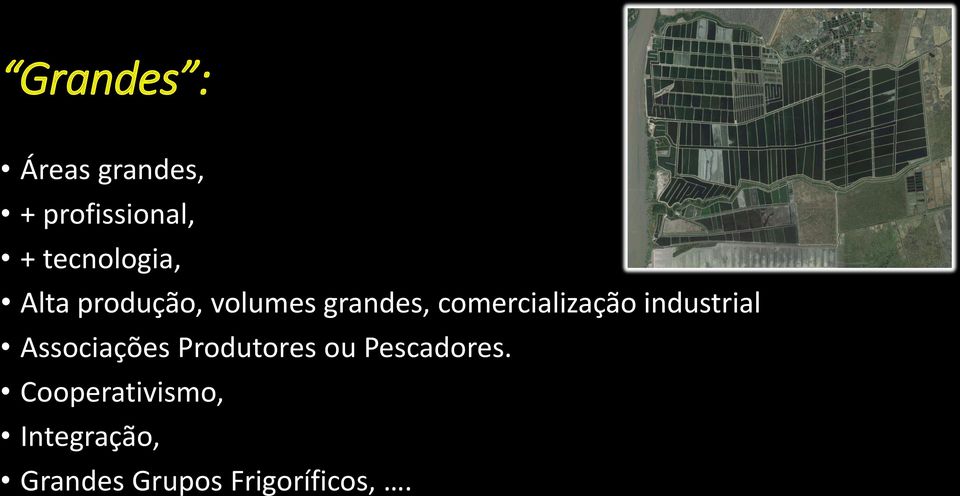 comercialização industrial Associações Produtores ou