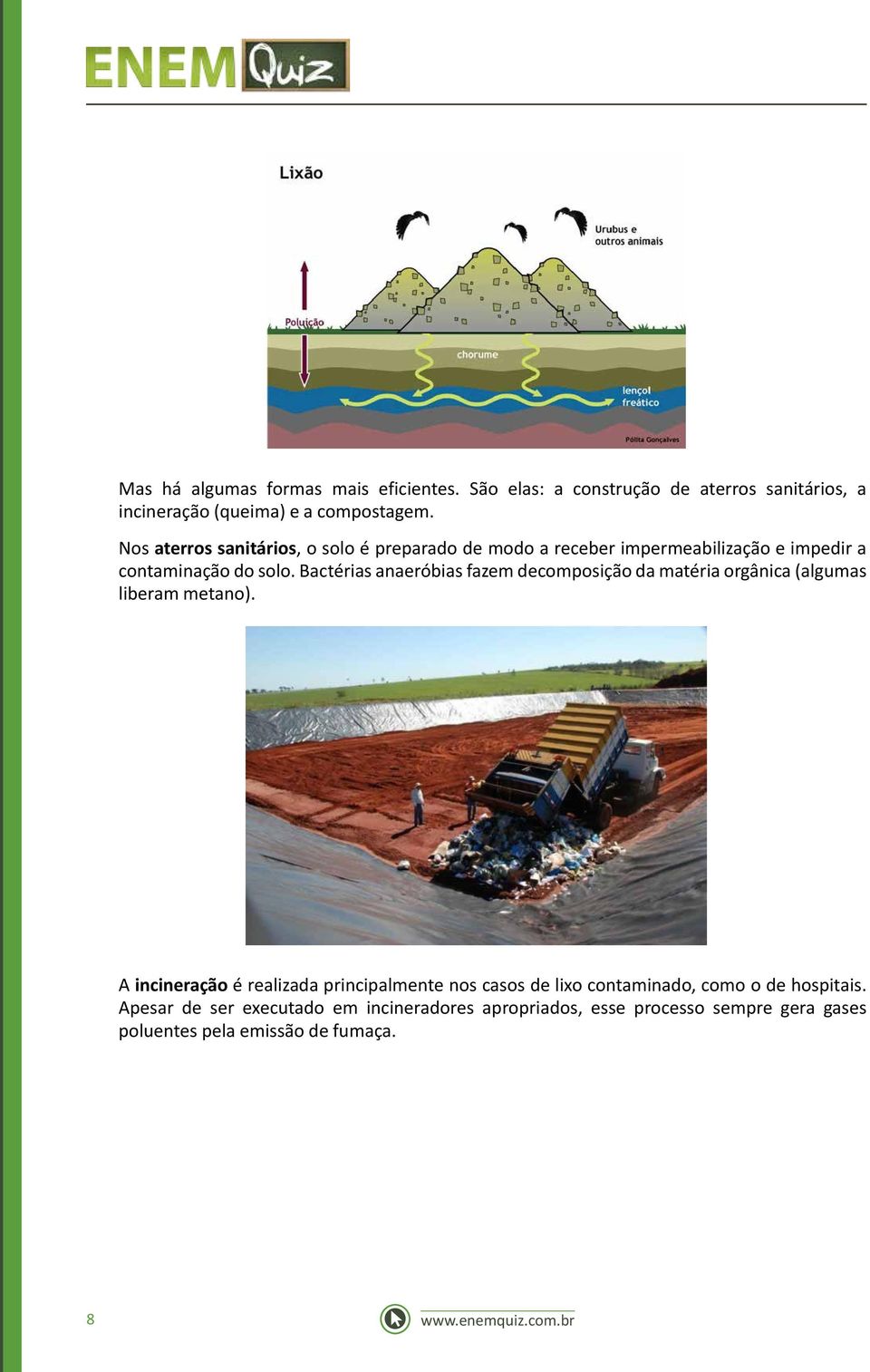 Bactérias anaeróbias fazem decomposição da matéria orgânica (algumas liberam metano).