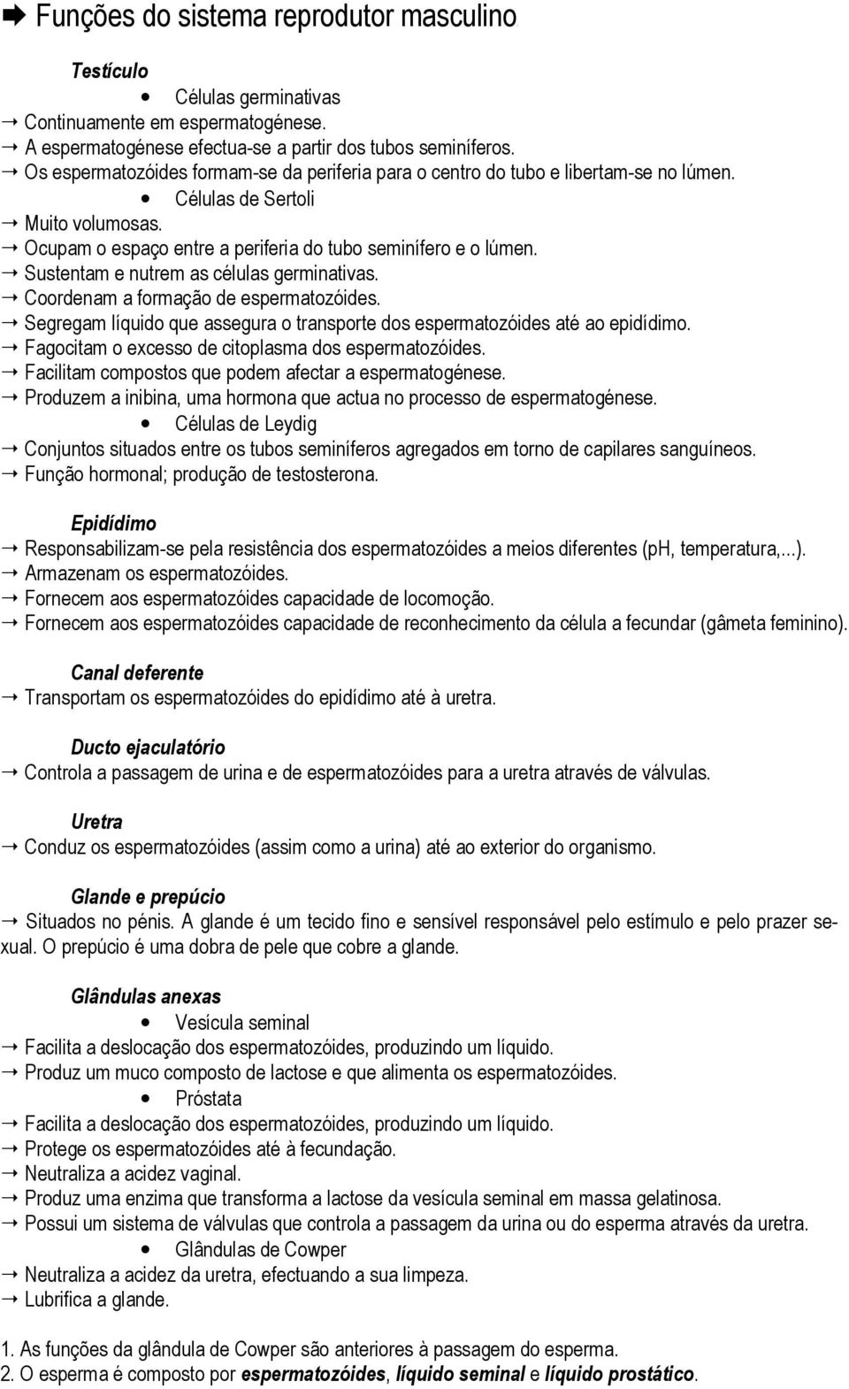 Sustentam e nutrem as células germinativas. Coordenam a formação de espermatozóides. Segregam líquido que assegura o transporte dos espermatozóides até ao epidídimo.