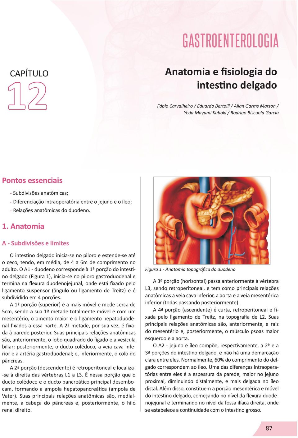 Anatomia A - Subdivisões e limites O intestino delgado inicia-se no piloro e estende-se até o ceco, tendo, em média, de 4 a 6m de comprimento no adulto.