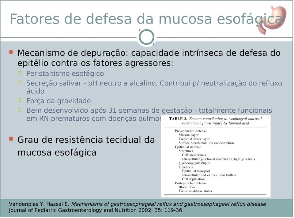 Contribui p/ neutralização do refluxo ácido Força da gravidade Bem desenvolvido após 31 semanas de gestação - totalmente funcionais em RN prematuros