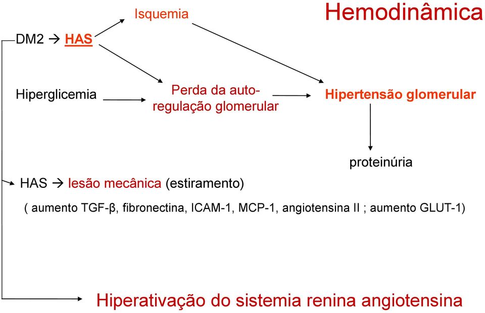 proteinúria ( aumento TGF-β, fibronectina, ICAM-1, MCP-1,