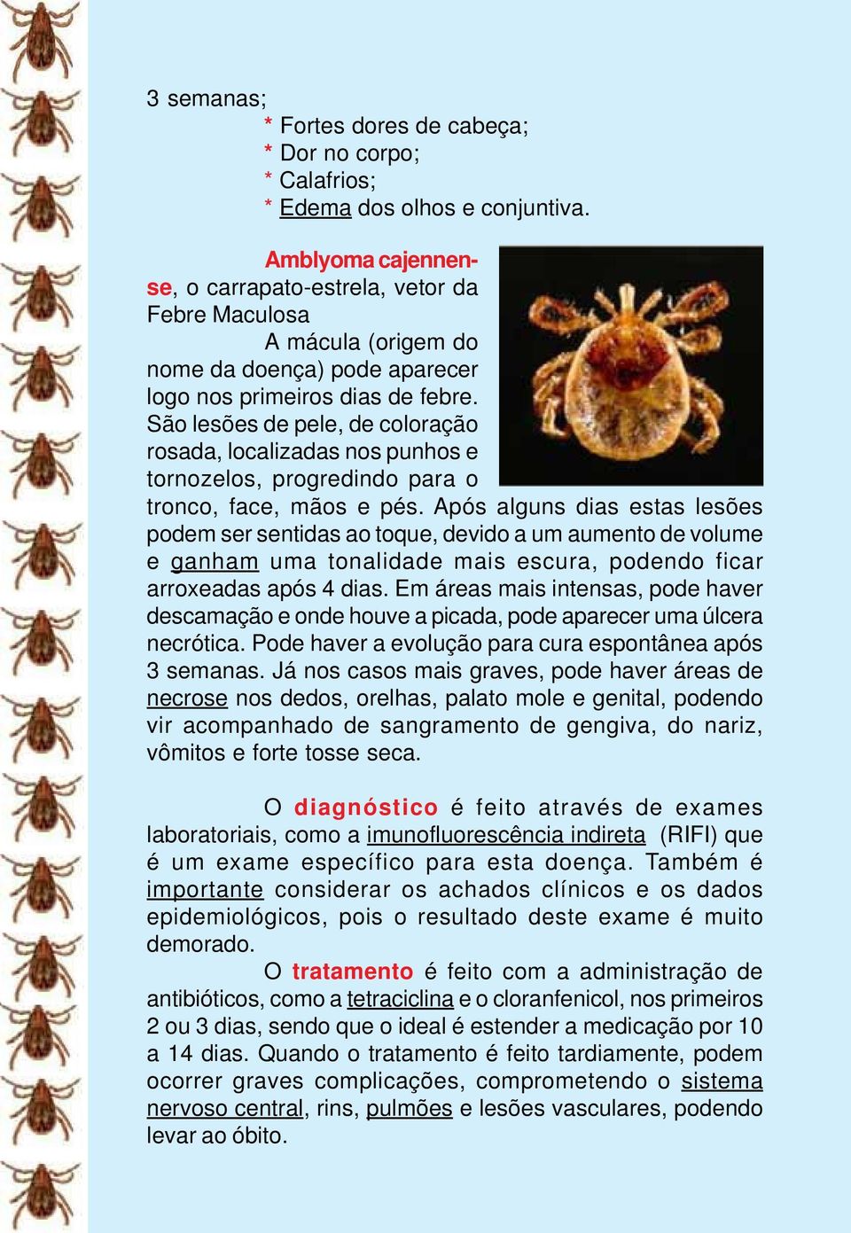 São lesões de pele, de coloração rosada, localizadas nos punhos e tornozelos, progredindo para o tronco, face, mãos e pés.