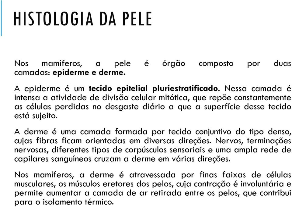 A derme é uma camada formada por tecido conjuntivo do tipo denso, cujas fibras ficam orientadas em diversas direções.