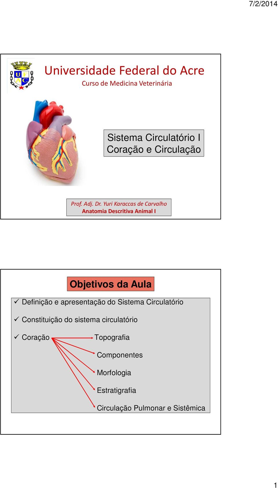 Yuri Karaccas de Carvalho Anatomia Descritiva Animal I Objetivos da Aula Definição e