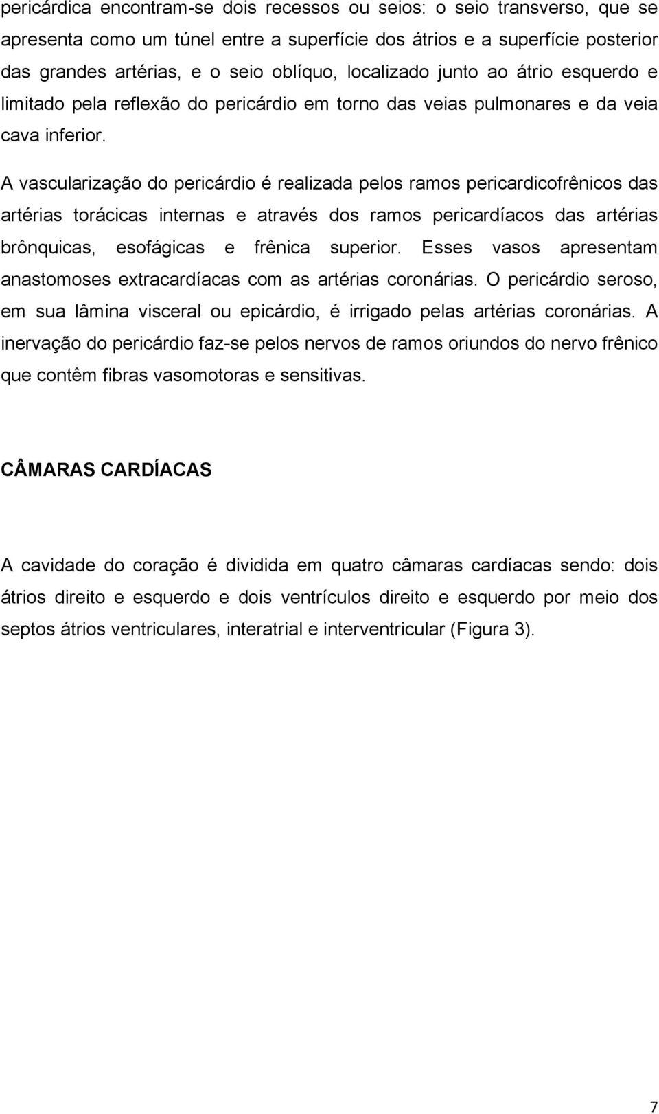 A vascularização do pericárdio é realizada pelos ramos pericardicofrênicos das artérias torácicas internas e através dos ramos pericardíacos das artérias brônquicas, esofágicas e frênica superior.