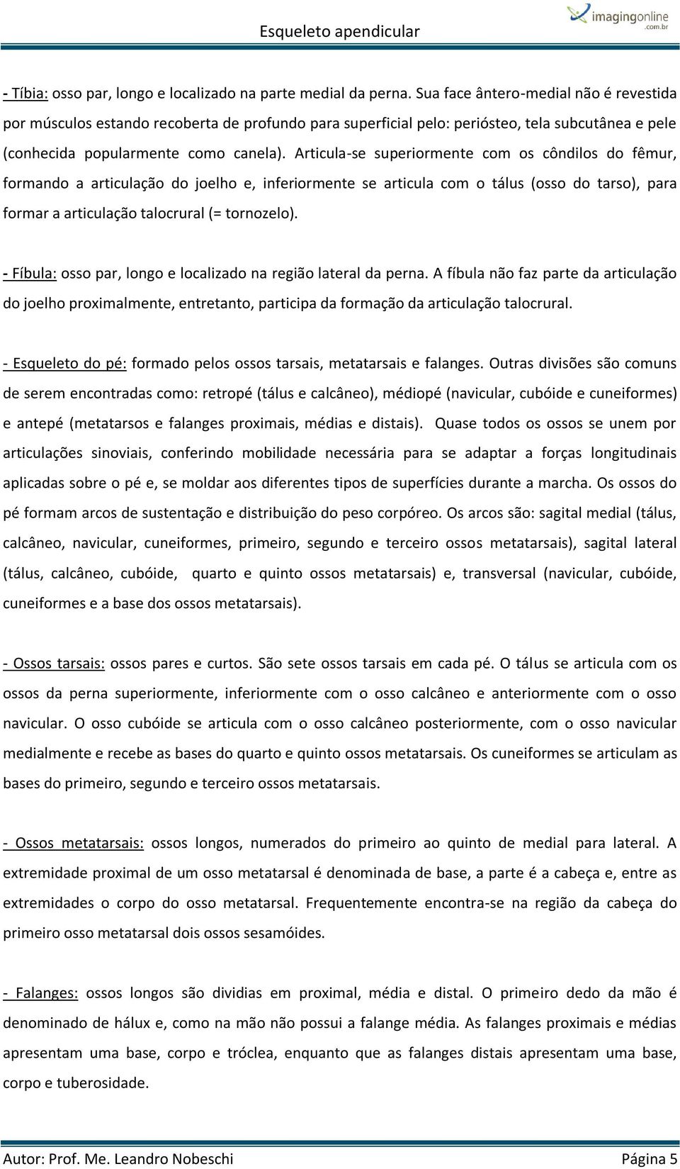 Articula-se superiormente com os côndilos do fêmur, formando a articulação do joelho e, inferiormente se articula com o tálus (osso do tarso), para formar a articulação talocrural (= tornozelo).