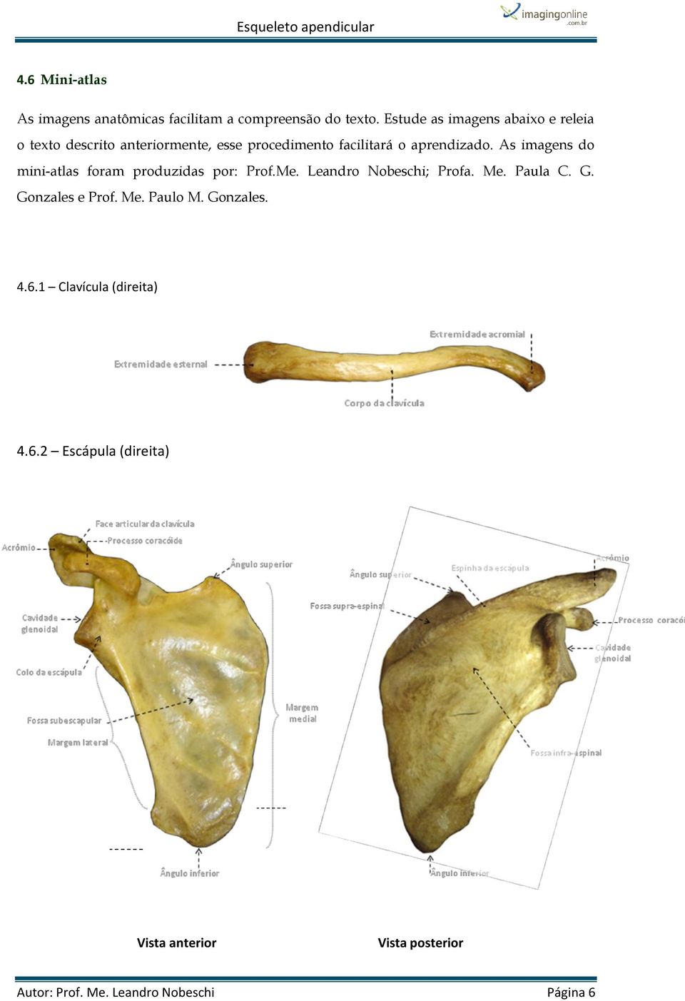 As imagens do mini-atlas foram produzidas por: Prof.Me. Leandro Nobeschi; Profa. Me. Paula C. G.