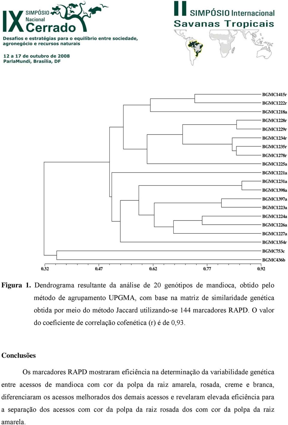 Dendrograma resultante da análise de 20 genótipos de mandioca, obtido pelo método de agrupamento UPGMA, com base na matriz de similaridade genética obtida por meio do método Jaccard utilizando-se 144