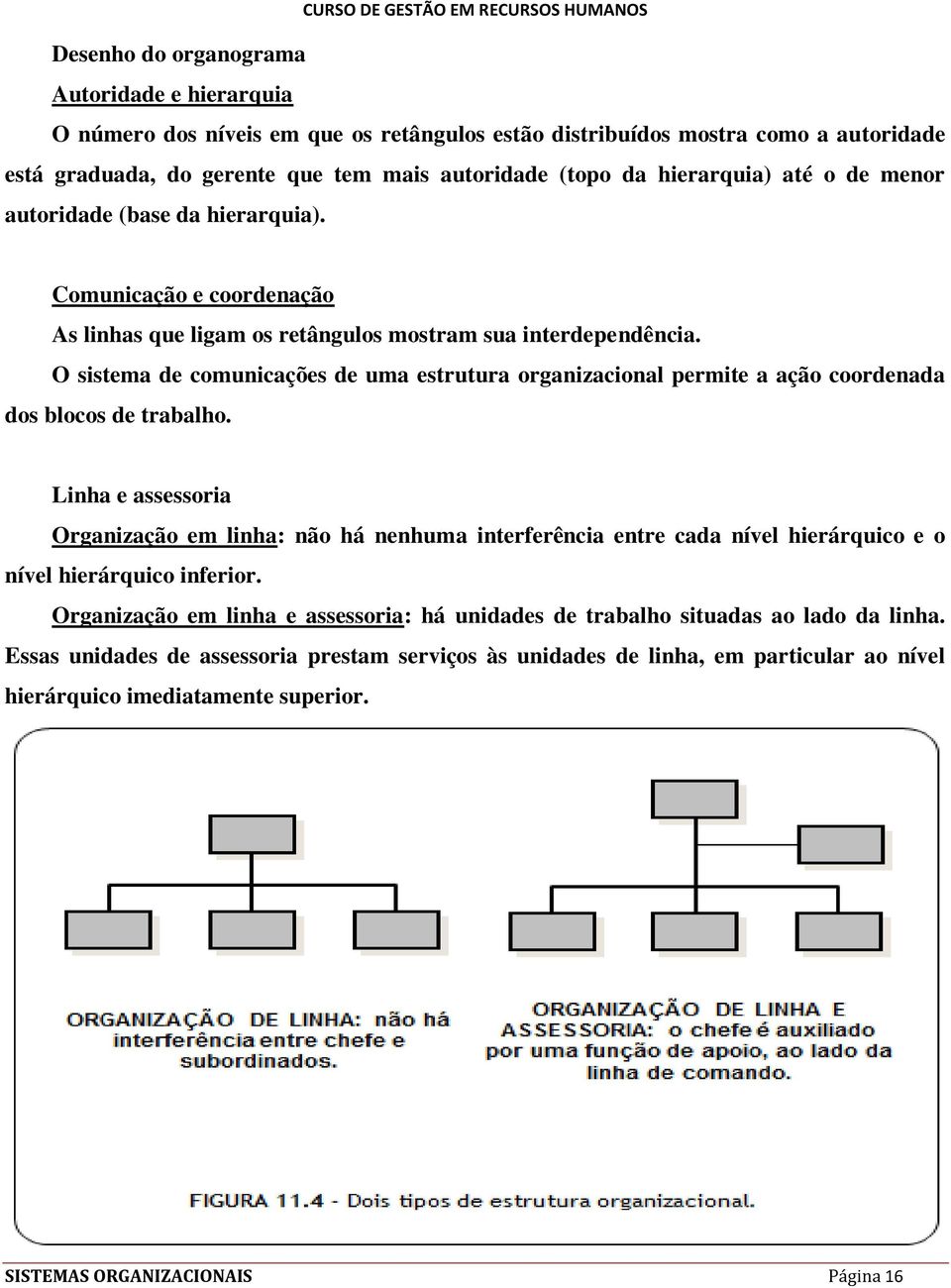 O sistema de comunicações de uma estrutura organizacional permite a ação coordenada dos blocos de trabalho.