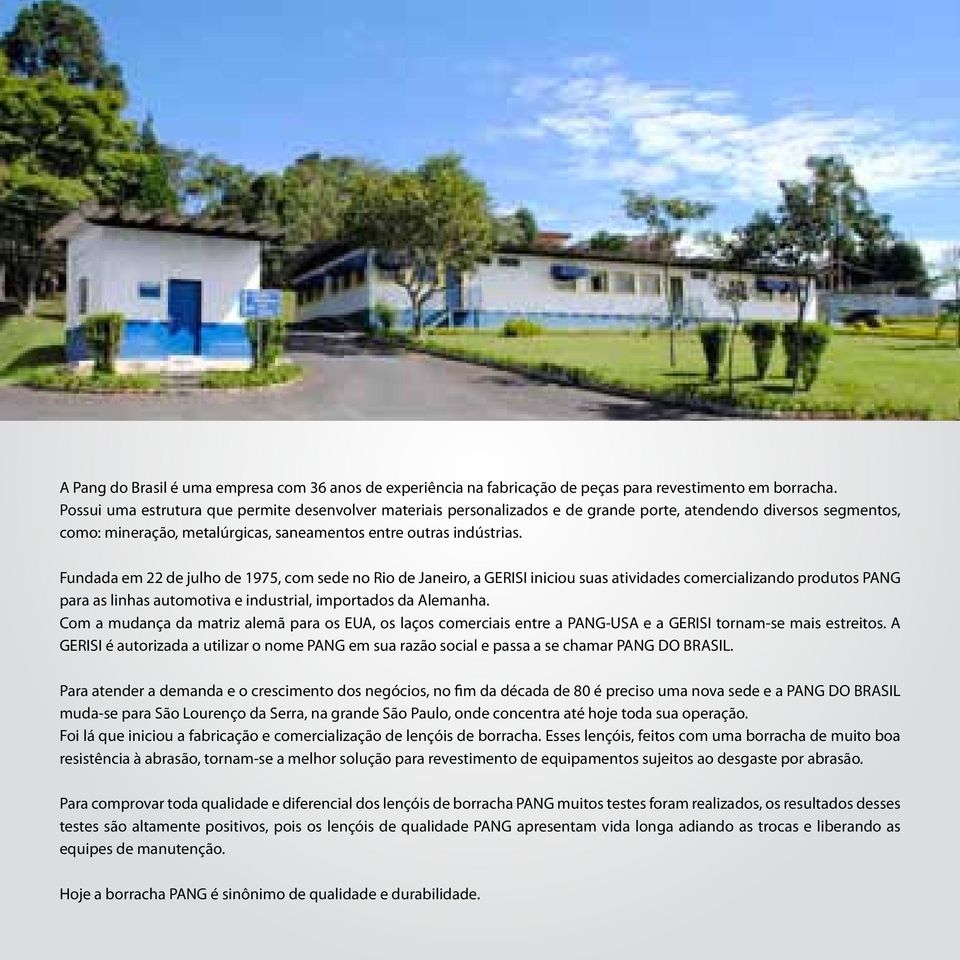 Fundada em 22 de julho de 1975, com sede no Rio de Janeiro, a GERISI iniciou suas atividades comercializando produtos PANG para as linhas automotiva e industrial, importados da Alemanha.