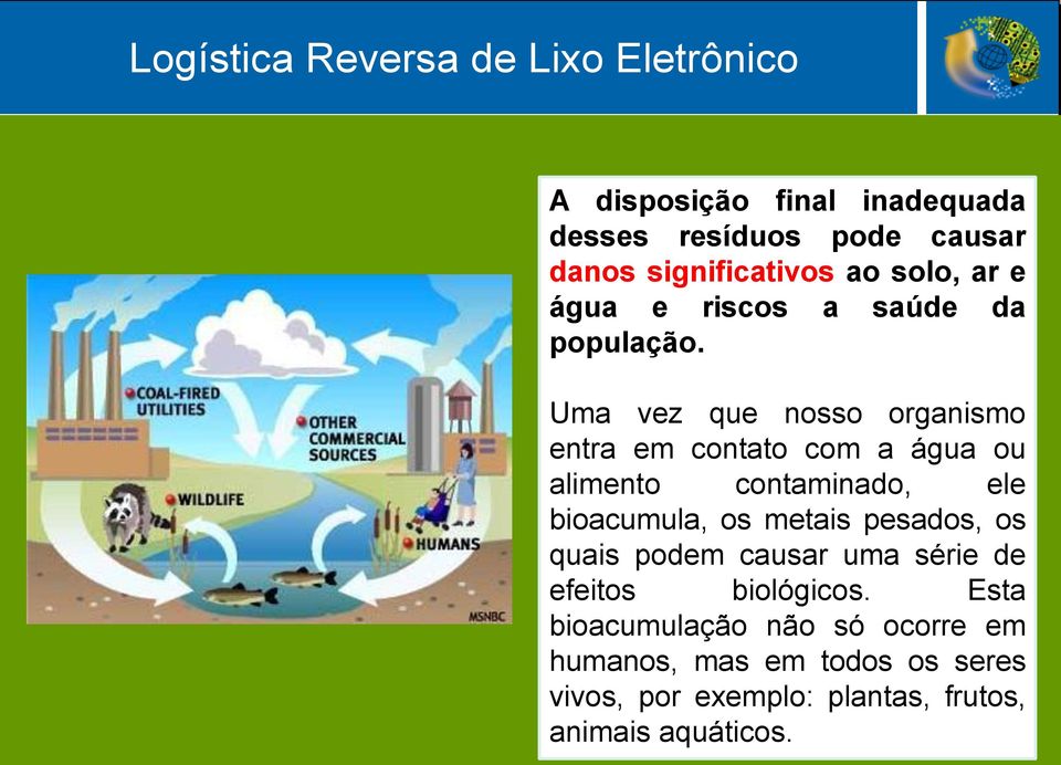 Uma vez que nosso organismo entra em contato com a água ou alimento contaminado, ele bioacumula, os