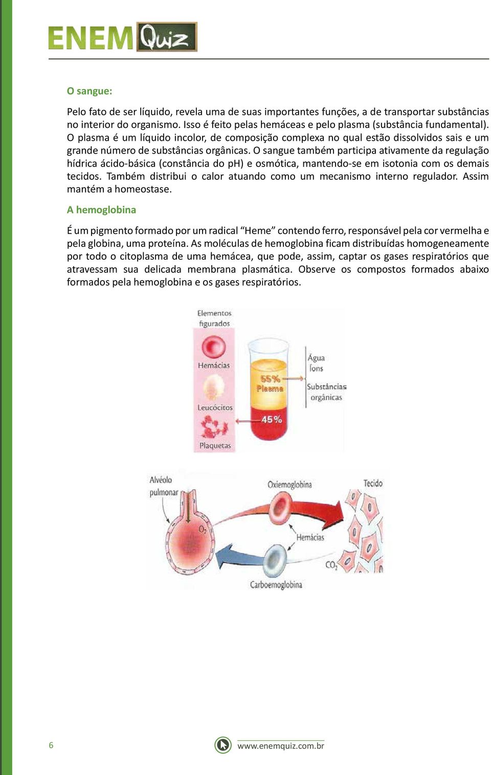 O sangue também participa ativamente da regulação hídrica ácido-básica (constância do ph) e osmótica, mantendo-se em isotonia com os demais tecidos.