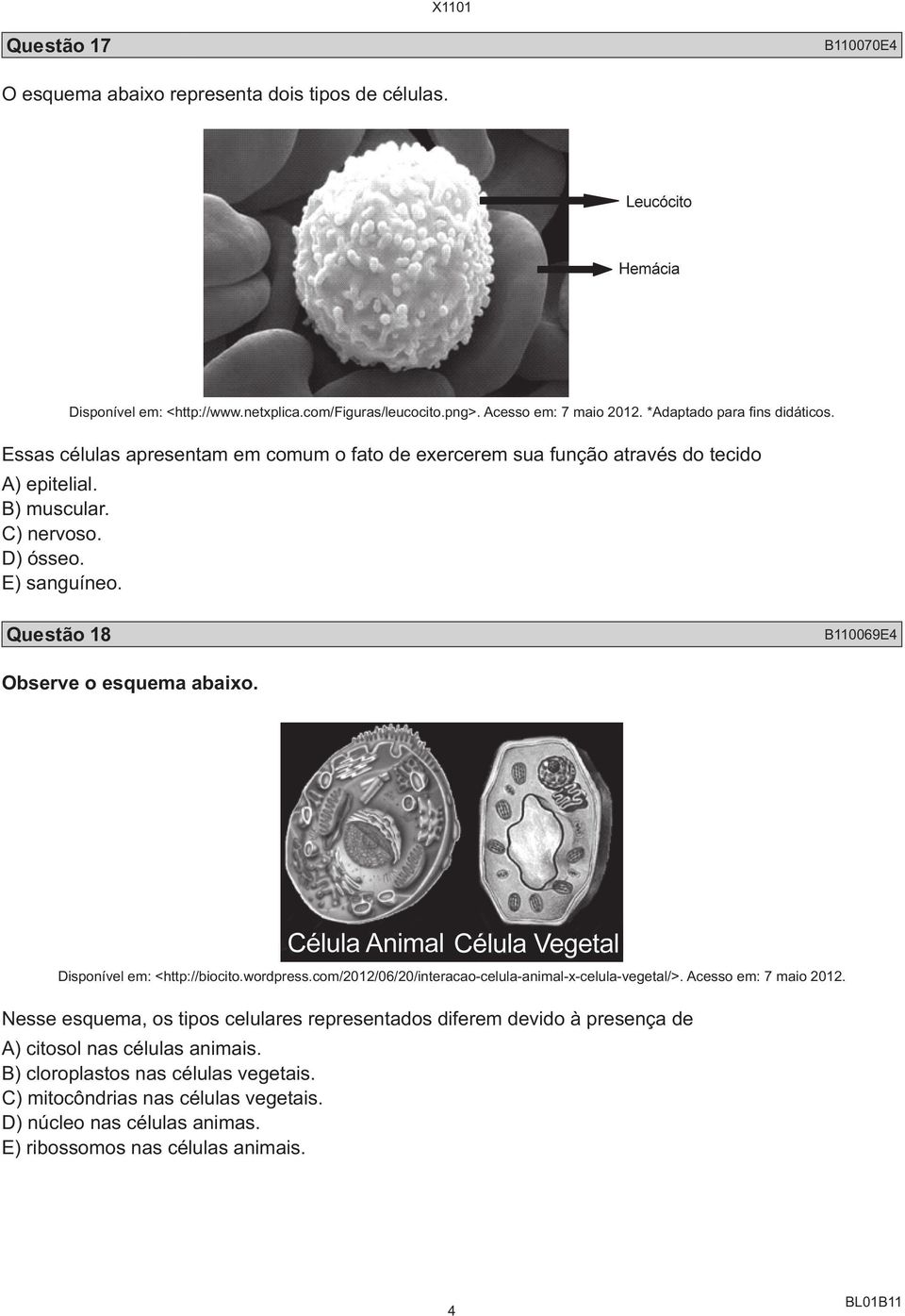 Questão 18 B110069E4 Observe o esquema abaixo. Disponível em: <http://biocito.wordpress.com/2012/06/20/interacao-celula-animal-x-celula-vegetal/>. Acesso em: 7 maio 2012.