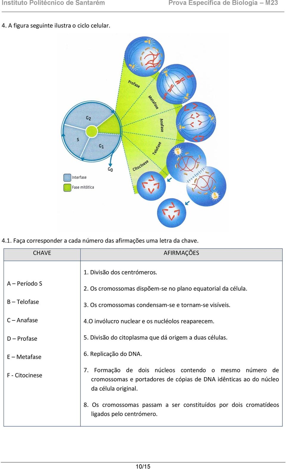 Os cromossomas condensam-se e tornam-se visíveis. 4.O invólucro nuclear e os nucléolos reaparecem. 5. Divisão do citoplasma que dá origem a duas células. 6. Replicação do DNA.