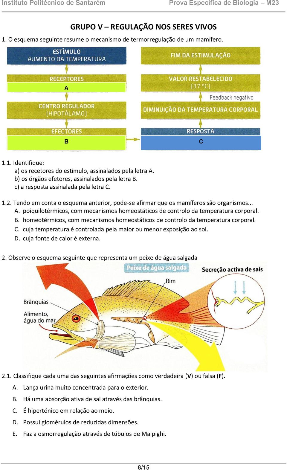 poiquilotérmicos, com mecanismos homeostáticos de controlo da temperatura corporal. B. homeotérmicos, com mecanismos homeostáticos de controlo da temperatura corporal. C.