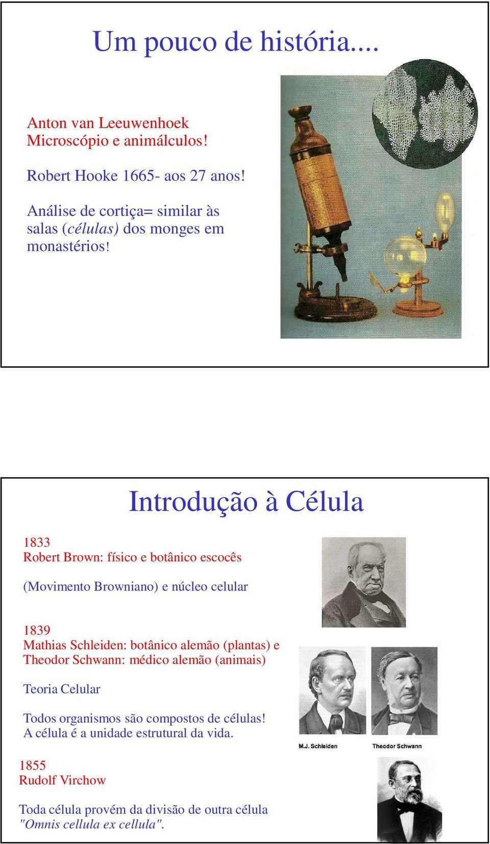 Introdução à Célula 1833 Robert Brown: físico e botânico escocês (Movimento Browniano) e núcleo celular 1839 Mathias Schleiden: botânico