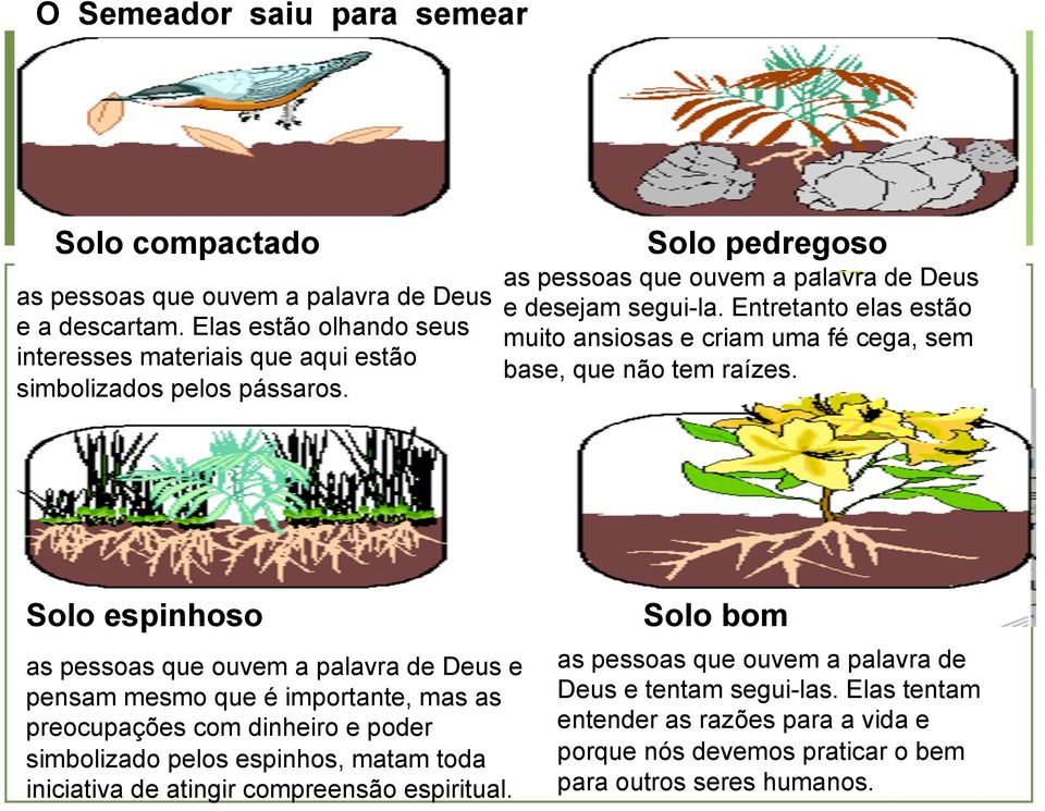 Entretanto elas estão muito ansiosas e criam uma fé cega, sem base, que não tem raízes.