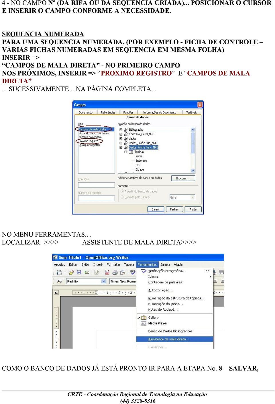 INSERIR => CAMPOS DE MALA DIRETA - NO PRIMEIRO CAMPO NOS PRÓXIMOS, INSERIR => PROXIMO REGISTRO E CAMPOS DE MALA DIRETA... SUCESSIVAMENTE.