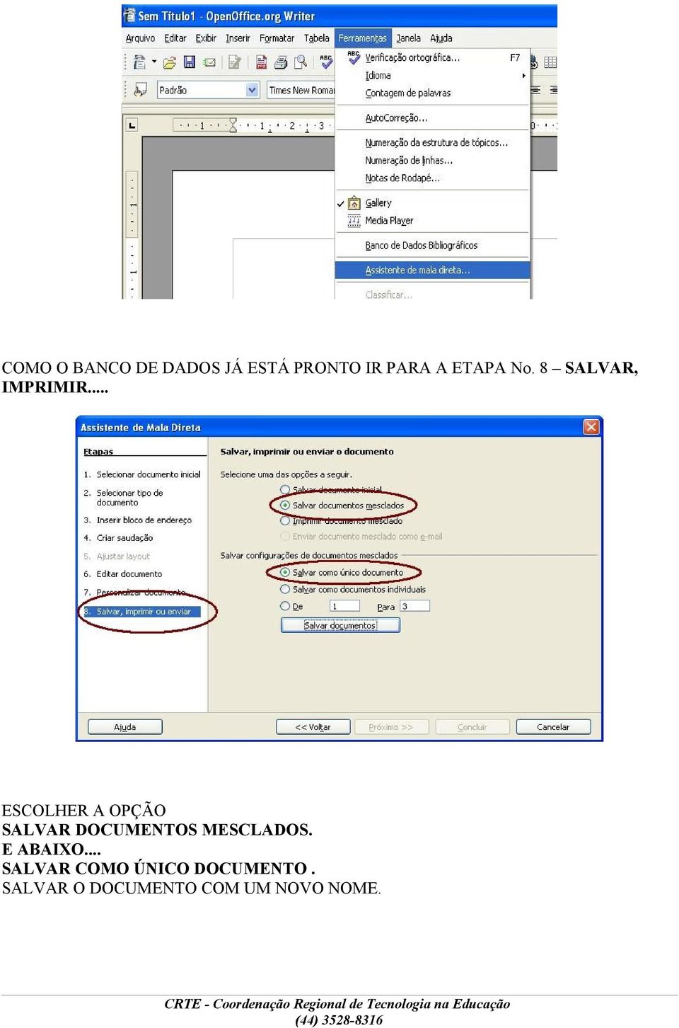 .. ESCOLHER A OPÇÃO SALVAR DOCUMENTOS MESCLADOS.