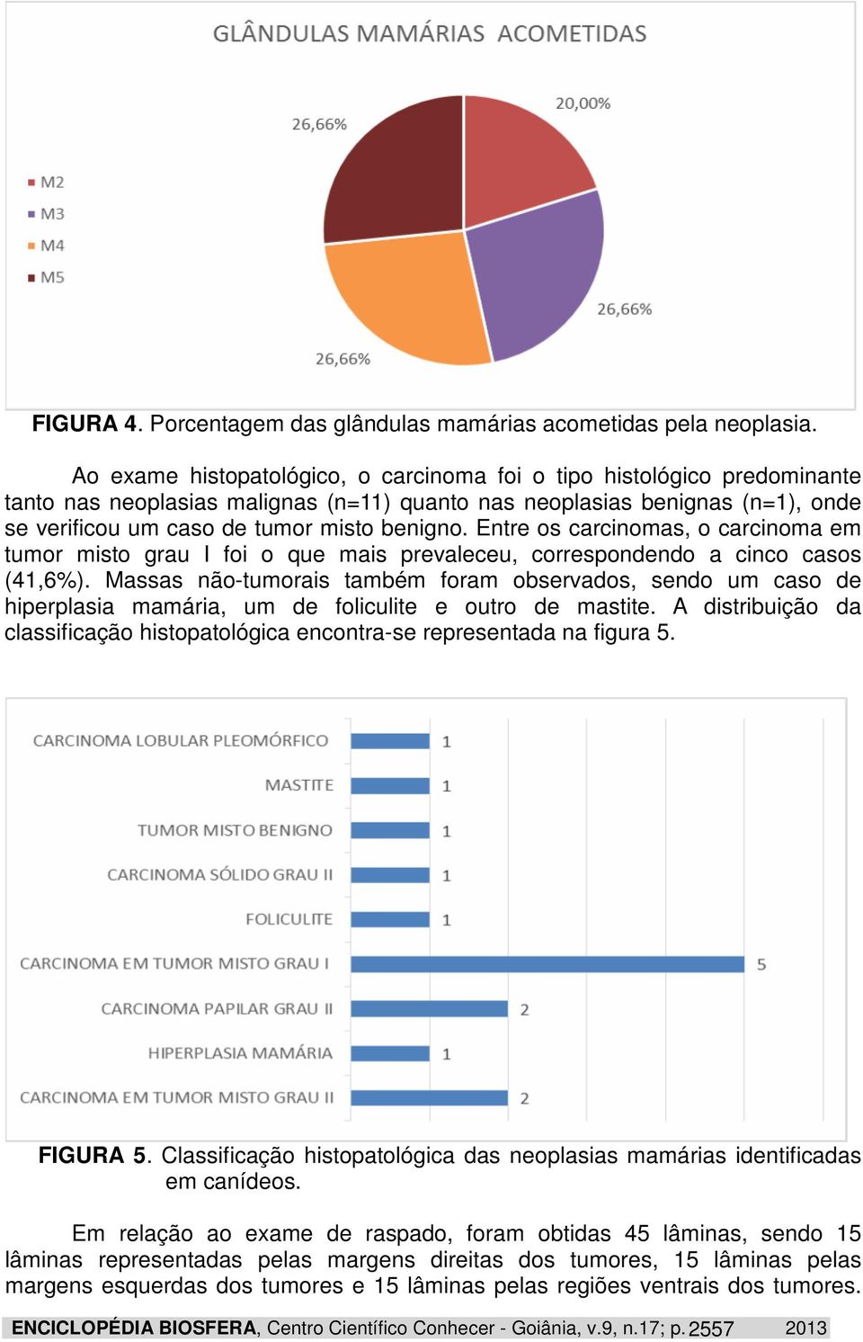 Entre os carcinomas, o carcinoma em tumor misto grau I foi o que mais prevaleceu, correspondendo a cinco casos (41,6%).