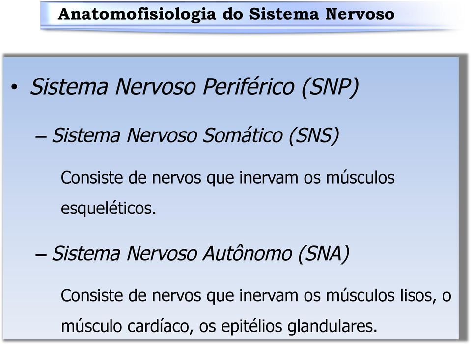 Sistema Nervoso Autônomo (SNA) Consiste de nervos que inervam